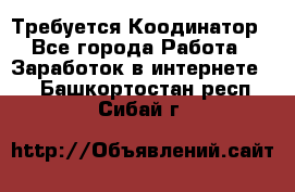 Требуется Коодинатор - Все города Работа » Заработок в интернете   . Башкортостан респ.,Сибай г.